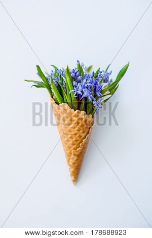 Close Up Bouquet Of White And Blue Primrose In The Waffle Cone On The White Background. Top View. Fr
