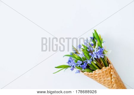 Close Up Bouquet Of White And Blue Primrose In The Waffle Cone On The White Background. Top View. Fr