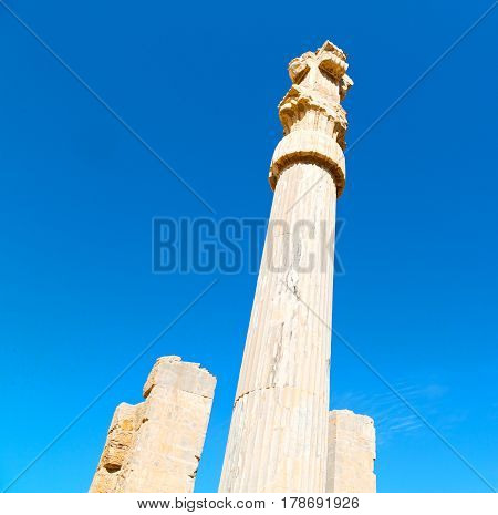 In Iran     Persepolis