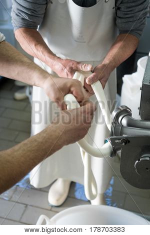 Production Of Italian Mozzarella.