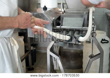 Production Of Italian Mozzarella.