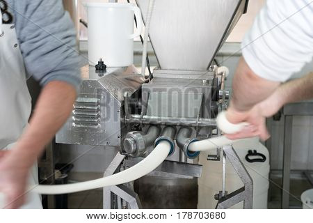 Production Of Italian Mozzarella.