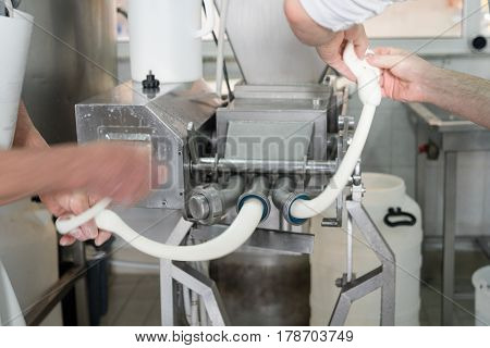 Production Of Italian Mozzarella.