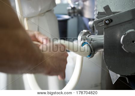 Production Of Italian Mozzarella.