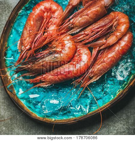 Raw uncooked red shrimps on chipped ice in turquoise blue ceramic tray over grey concrete background, top view, copy space, square crop. Fresh seafood concept
