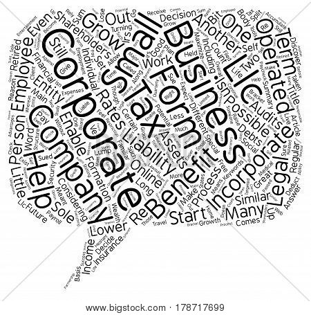 Incorporate Your Business for Long Term Benefits text background wordcloud concept