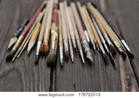 Artistic brushes are fan-shaped on a dark wooden surface