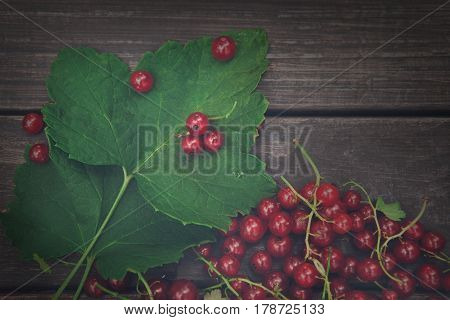 Fresh ripe red currants heap on rustic wood background. Natural organic berries with green leaves scattered on weathered grey wooden table. Vintage dark filter