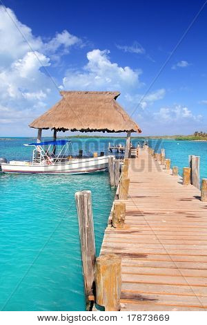 Contoy ø Mexico træ pier palapa nature reserve