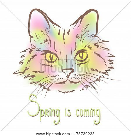 Vector illustration of outline cat with colored mesh and hand lettering.