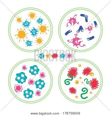 Colorful phatogen virus and immune bacteries in Petri dish, vector illustration