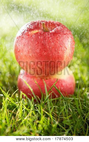 zwei Äpfel im Regen