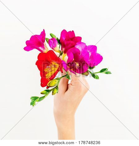 Freesia flowers in hand isolated on white background. Flat lay, top view. Floral background.