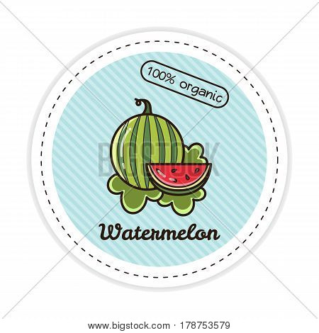 Watermelon label. Vector illustration of a fruit.