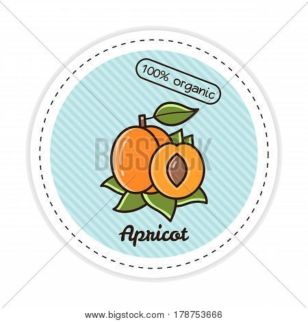 Apricot label. Vector illustration of a fruit.