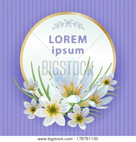 Beautiful spring background with flowers of Zephyranthes. Can be used to design greeting cards invitation announcement spring sale.