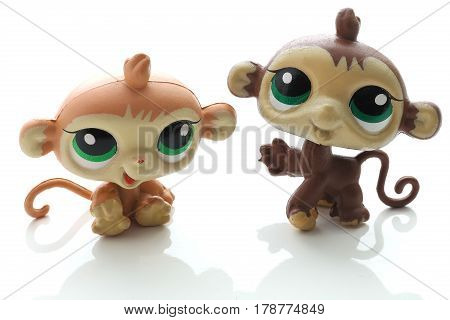 Two cute monkees. Isolated on white. Holding together