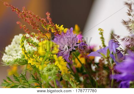 Beautiful bouquet of wildflowers in a glass vase. On a background of sunny white window sill