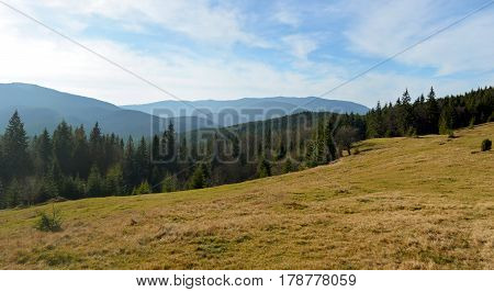 Big Forest Glade In The Mountains. Blue Cloudy Sky On The Background.