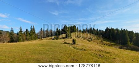 Panoramic View Of The Forest Glade In The Mountains. Beautiful Spring Or Autumn Landscape.