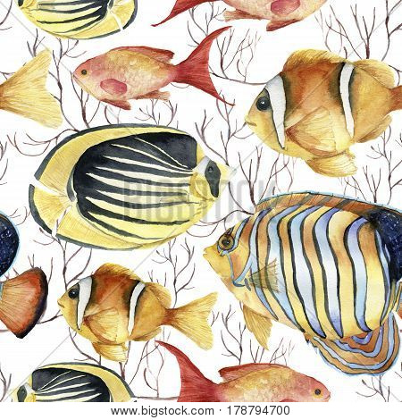 Watercolor tropic sea pattern. Hand painted tropic fish: angelfish, butterflyfish, clownfish and coral isolated on white background. Underwater illustration