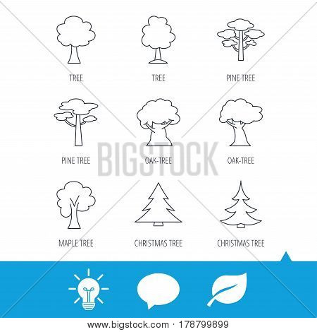 Pine tree, maple and oak icons. Christmas trees linear signs. Forest trees flat line icons. Light bulb, speech bubble and leaf web icons. Vector