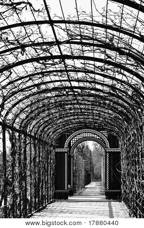 Solitario Arcade en un jardín