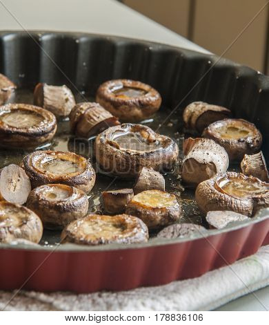 mushrooms baked with cheese suluguni on ketsi