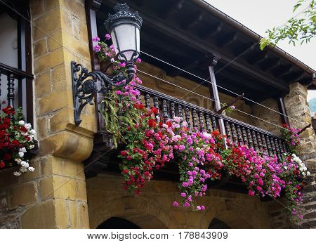 Blooming flowers decorating houses facades, Barcena Major, Asturia, Spain