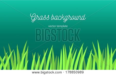 Grass background. Vector tamplate. Trendy flat style
