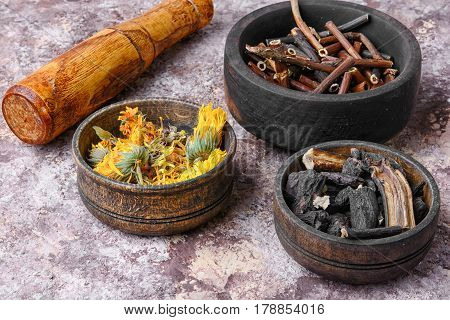 Healing Gathering Roots And Herb