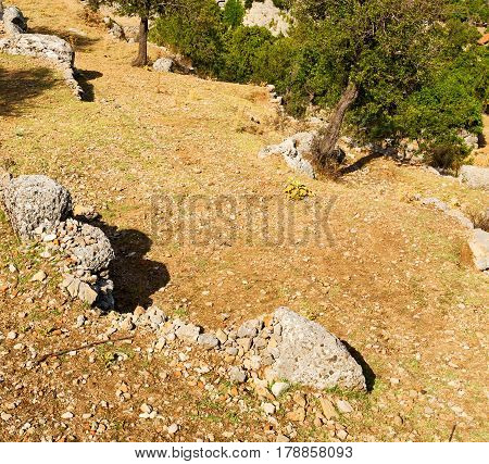 Ruins     From The Hill In Asia Turkey Selge Old Architecture And Nature