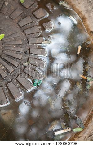 Dirty manhole cover with water and cigarettes