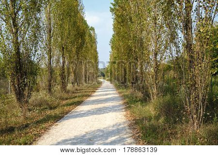 Park of Grugnotorto (Lombardy Italy) between Milan and Brianza in autumn. A path