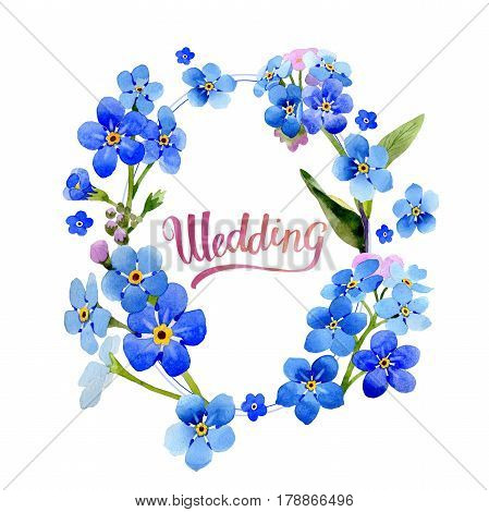 Wildflower myosotis arvensis flower in a watercolor style isolated. Full name of the plant: Myosotis arvensis. Aquarelle wild flower for background, texture, wrapper pattern, frame or border.