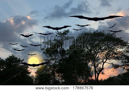 Halloween day bat Vampire flying horrifying in forest and sky for background with copy space for add text