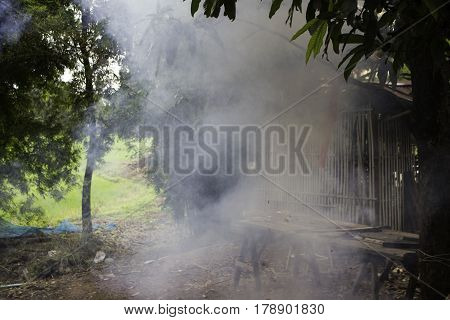 Most firecrackers pack gunpowder and other substances which were wrapped in cardboard and colored paper. Often colorful and have the fuse on one side. Firecrackers are mostly single children But firecracker which the festival. Often tied together a panel