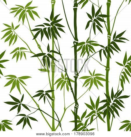 Green bamboo seamless pattern on white background. Tropical wallpaper, nature textile print.