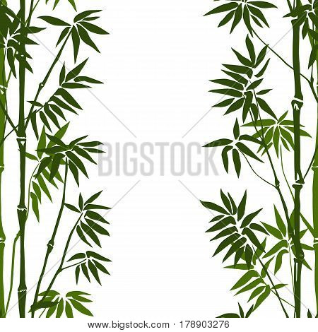 Green bamboo seamless vertical pattern on white background. Tropical wallpaper, nature textile print, template with text place.