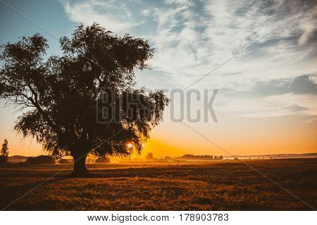 a ray of light breaks through the dramatic sky at dawn the sun tree in a field
