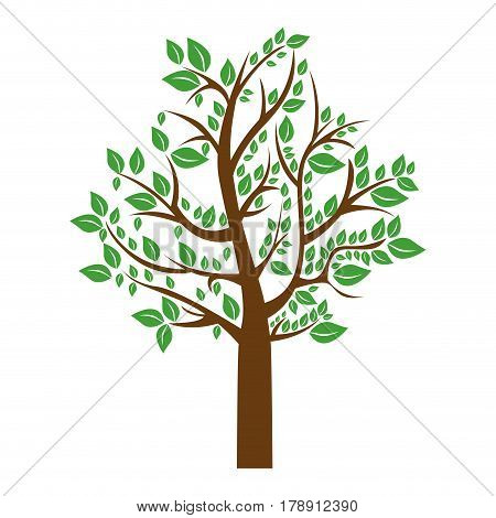 colorful tree with leafy branches vector illustration