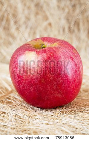 A fresh ripe apple on the straw rustic background.