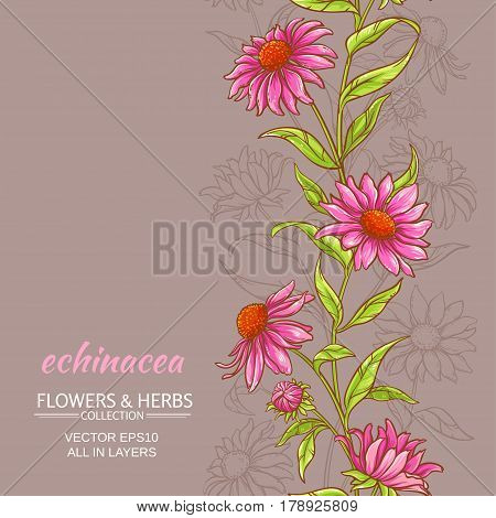 echinace purpurea vector pattern on color background