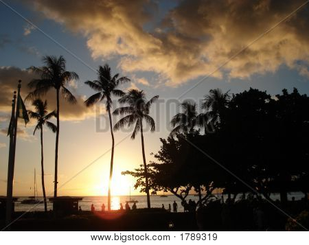 Tropical Dusk - Maui