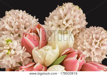 Arrangement of tulips and hyacinth flowers processed with photofilters to mute colors.