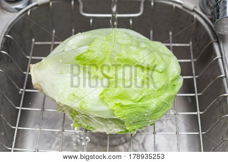 washing fresh cabbage on sink  horizontal composition