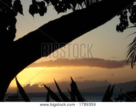 Maui Sunset
