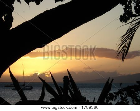Maui naplemente