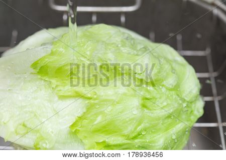 washing fresh cabbage on sink horizontal composition