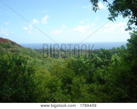 Ocean Skyline - Maui